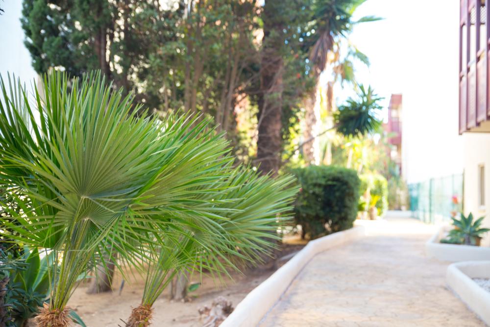  till salu lägenhet La Duquesa Costa Del Sol Occidental 48