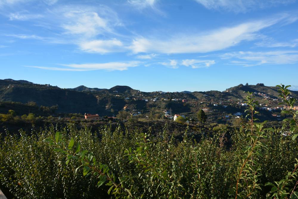  till salu hus Vega De San Mateo Área Centro 15
