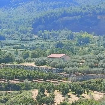 Rugat Vall D''albaida hus foto 5499344