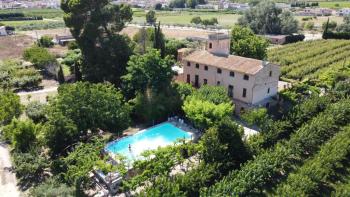 Miravet Ribera D''ebre hus på landet foto 5496115
