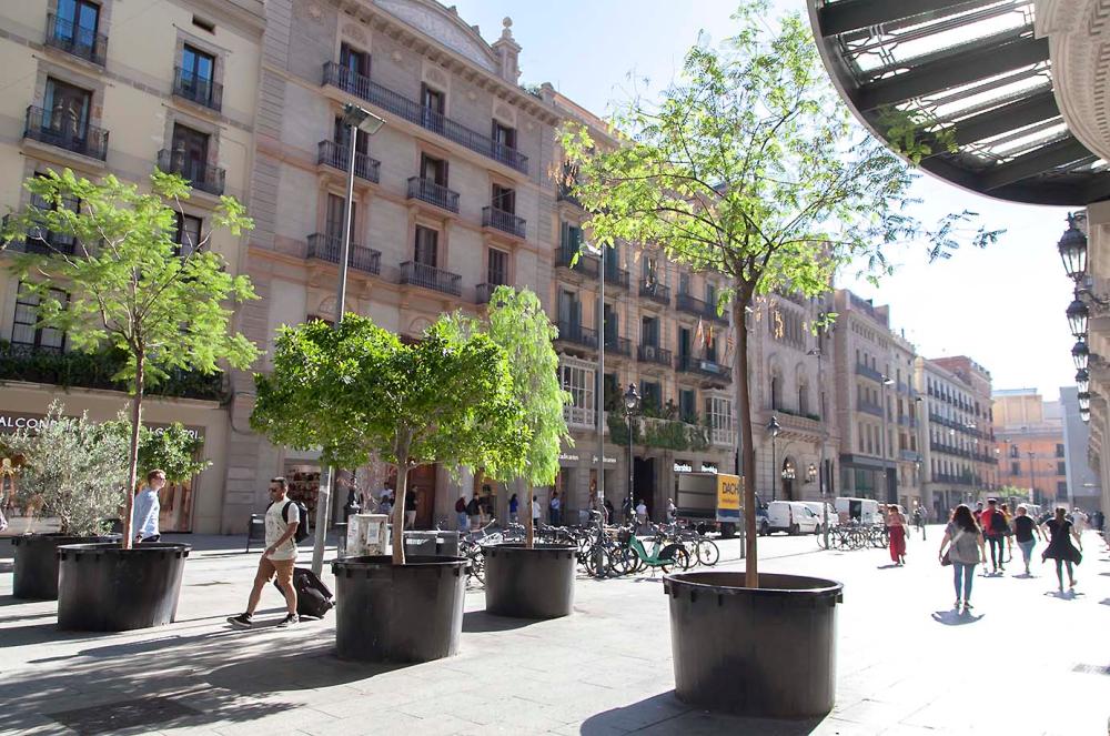  till salu lägenhet Ciutat Vella-Raval Barcelonès 30