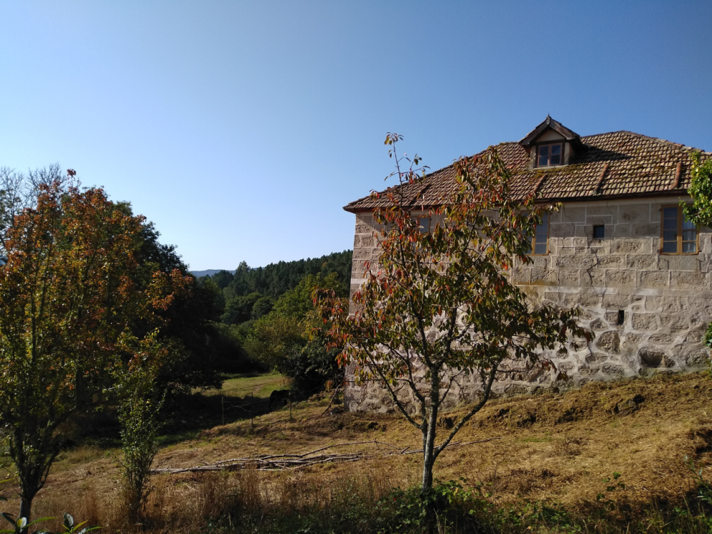  till salu hus Santa Maria Madre Terra Da Celanova 4
