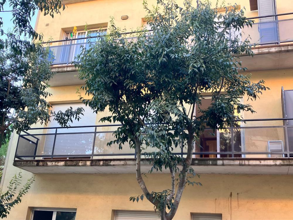  till salu lägenhet Palafrugell Baix Empordà 2