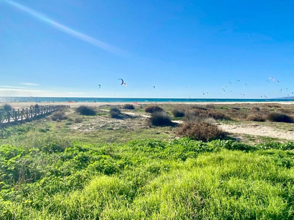  till salu lägenhet Tarifa Campo De Gibraltar 52