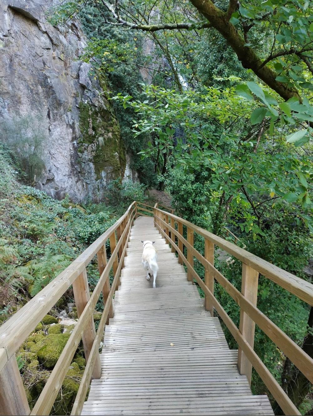  till salu hus Serode Tierra De Lemos 6