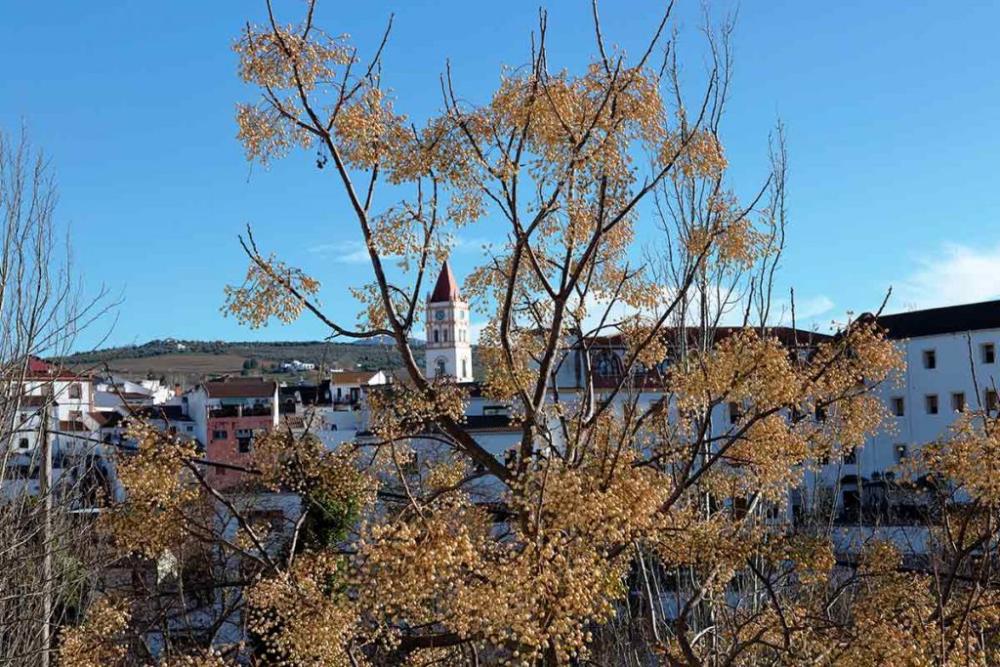  till salu villa Arriate Serranía De Ronda 50