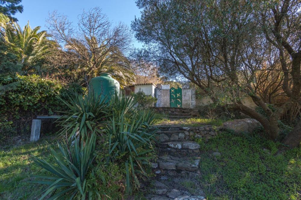  till salu lägenhet Tarifa Campo De Gibraltar 22