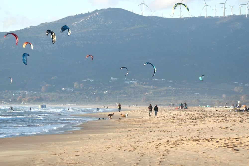  till salu lägenhet Tarifa Campo De Gibraltar 50