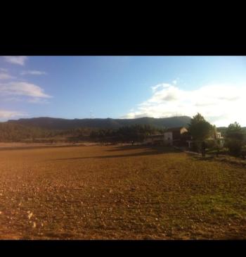 Ayora Valle De Ayora hus på landet foto 5510081
