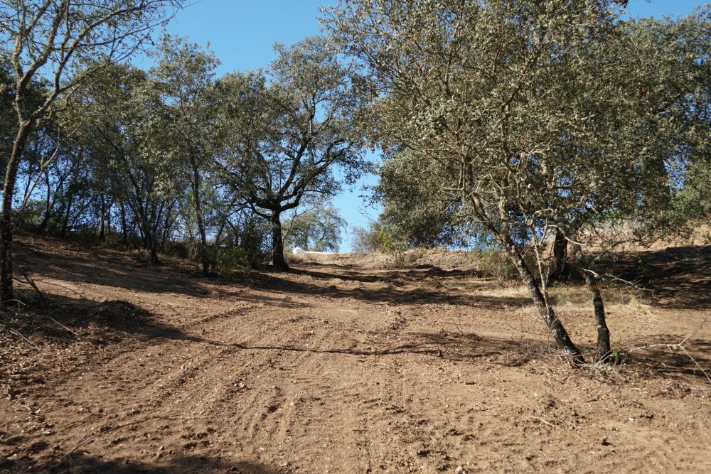  till salu tomt Campoamor Urb. Sierra Norte 4