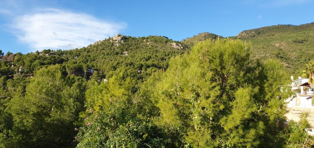  till salu villa Benicasim Plana Alta 40