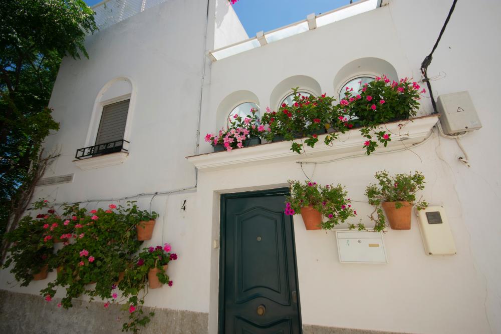  till salu hus Vejer De La Frontera Janda (La) 12