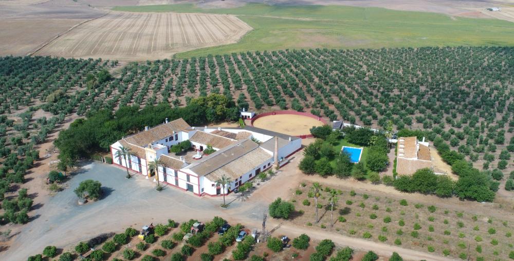  till salu villa Carmona Campiña De Carmona 2