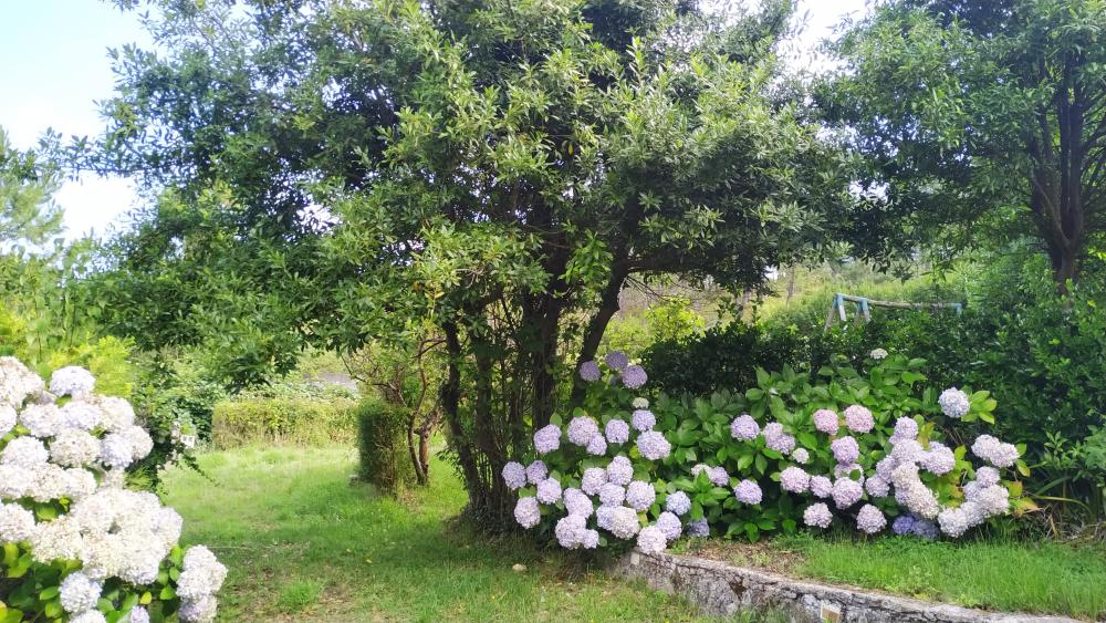  till salu hus A Brixeria Bergantiños 31