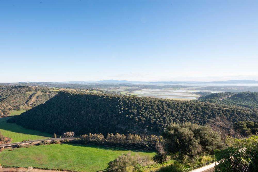  till salu hus Vejer De La Frontera Janda (La) 8