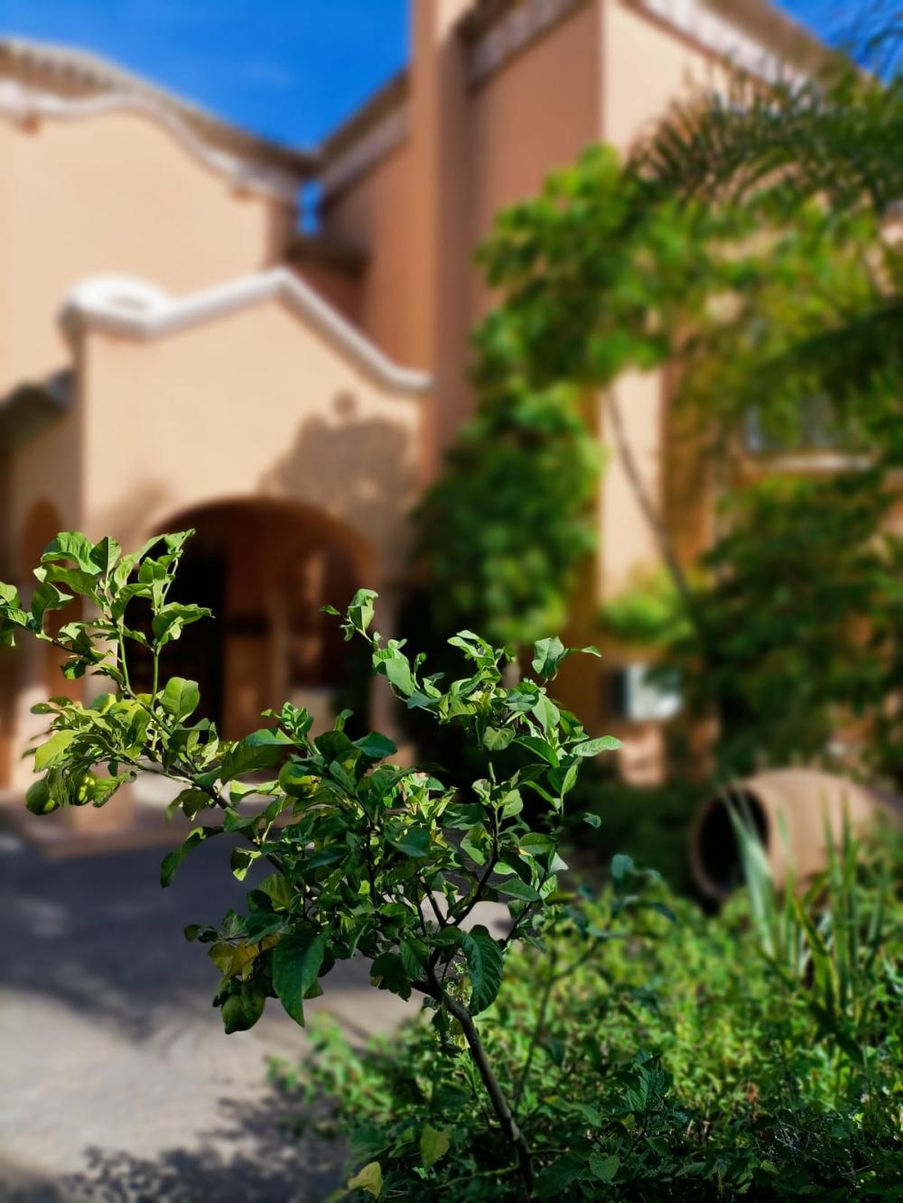  till salu villa La Quinta Costa Del Sol Occidental 9