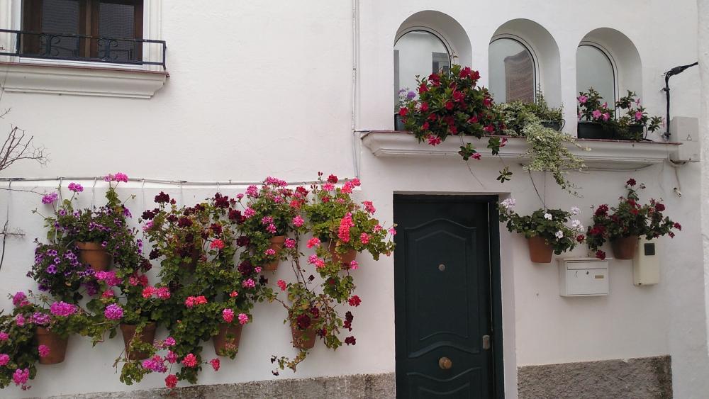  till salu hus Vejer De La Frontera Janda (La) 14