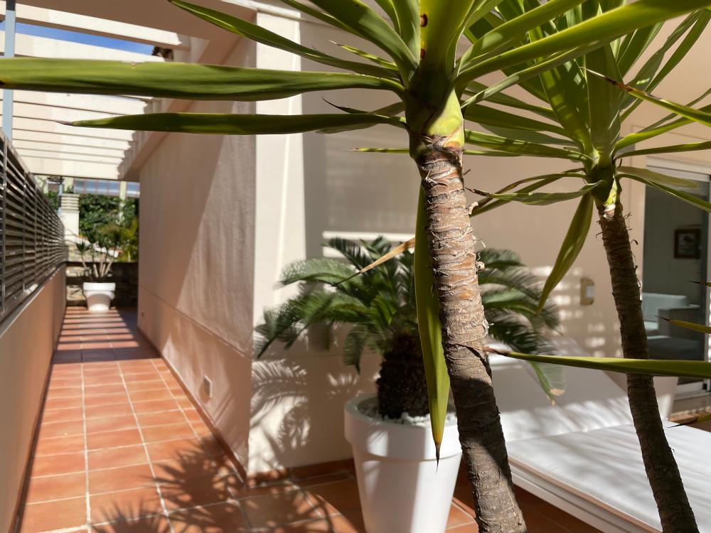  till salu villa Paterna Horta Oest 12