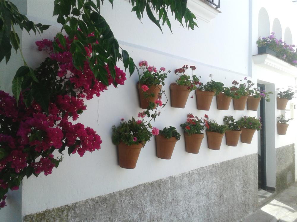  till salu hus Vejer De La Frontera Janda (La) 13
