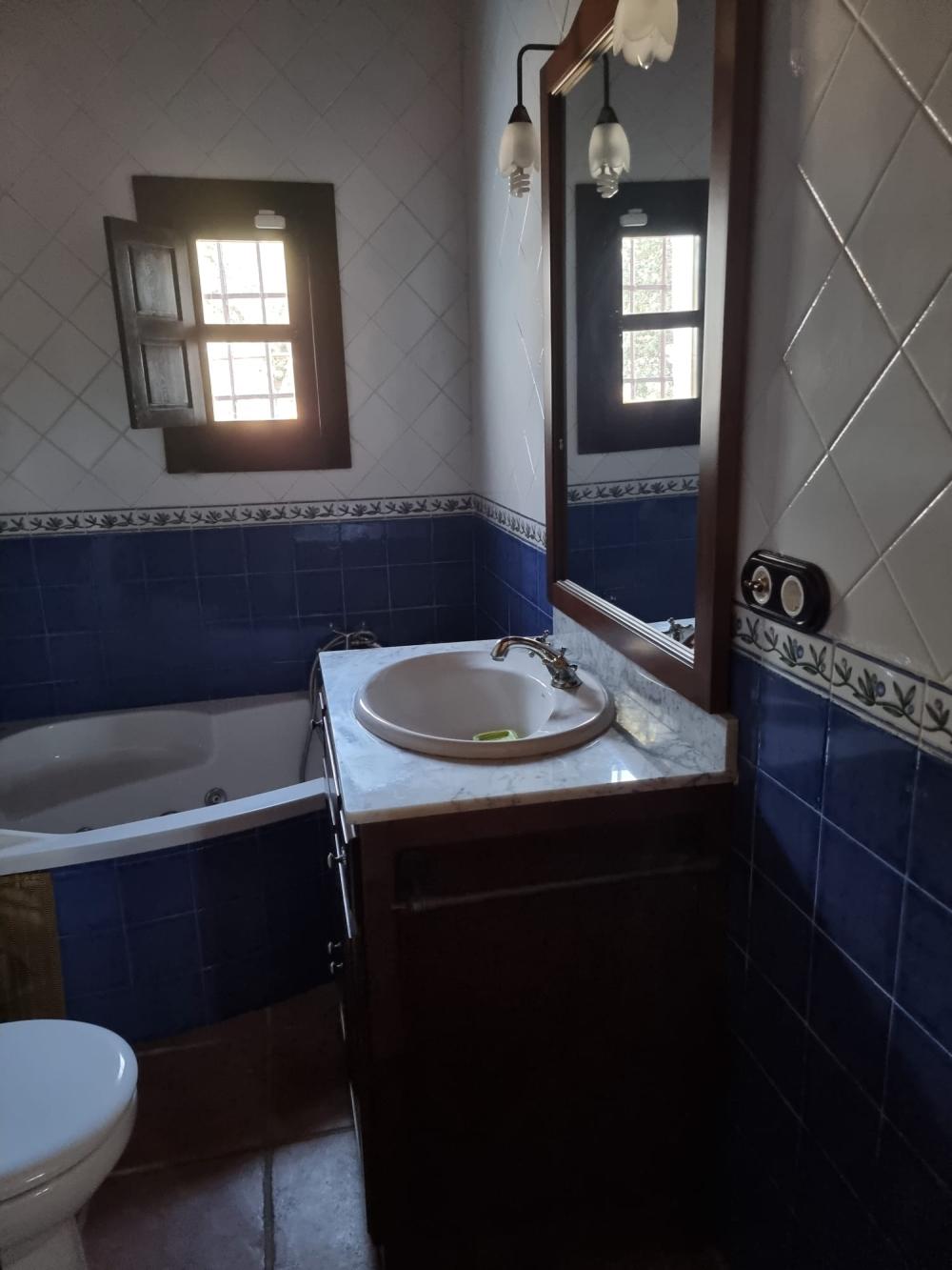  till salu hus på landet Pozoblanco Pedroches (Los) 13