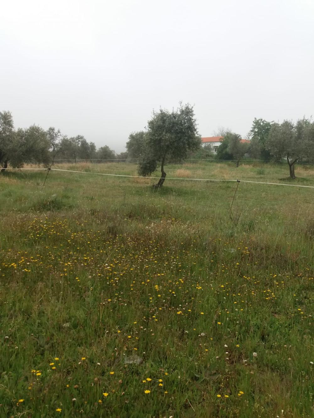  till salu hus på landet Espiel Valle Del Guadiato 3
