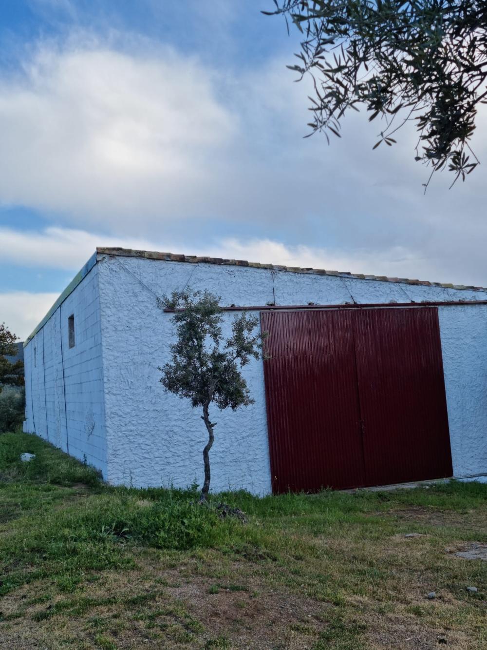  till salu hus på landet Pozoblanco Pedroches (Los) 18