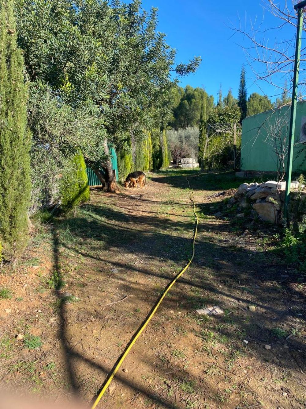  till salu tomt Vilafamés Plana Alta 15