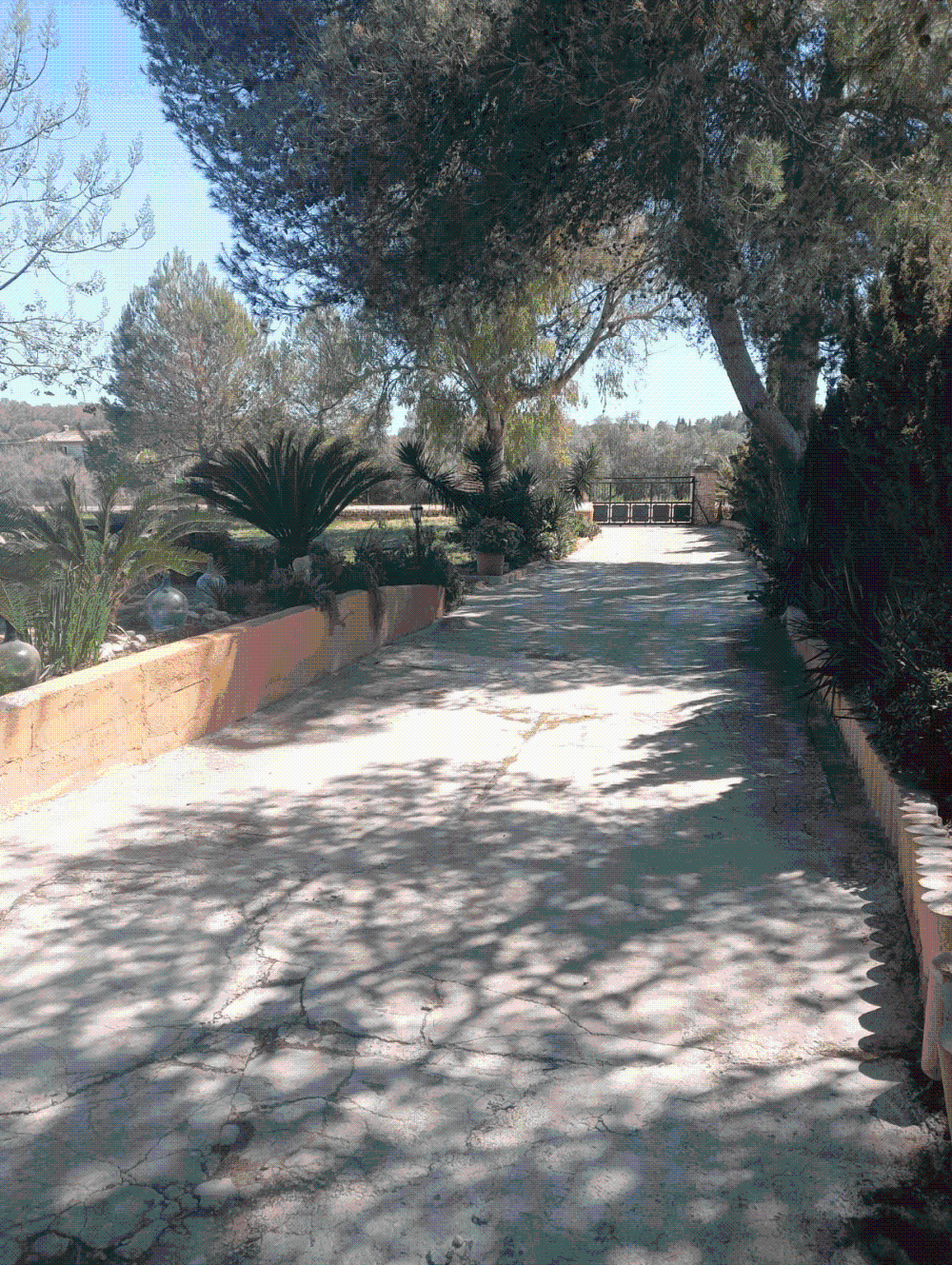  till salu villa Biniali Pla (Es) 4