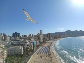 Benidorm (Centro) Marina Baixa lägenhet foto 5413630