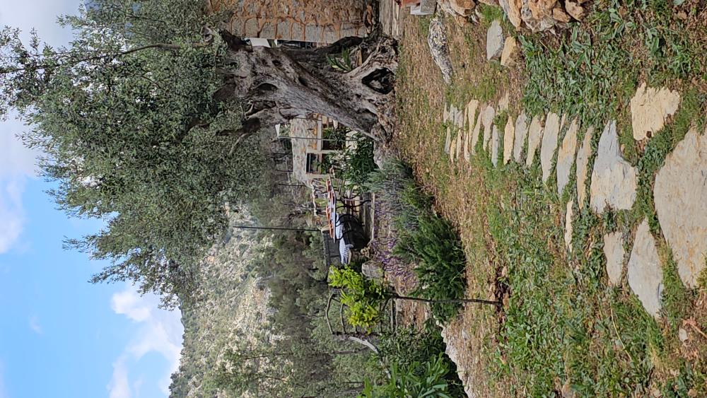  till salu hus på landet Fornalutx Tramuntana 17