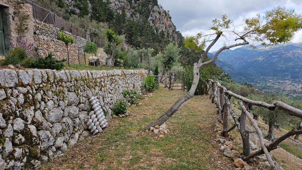  till salu hus på landet Fornalutx Tramuntana 19