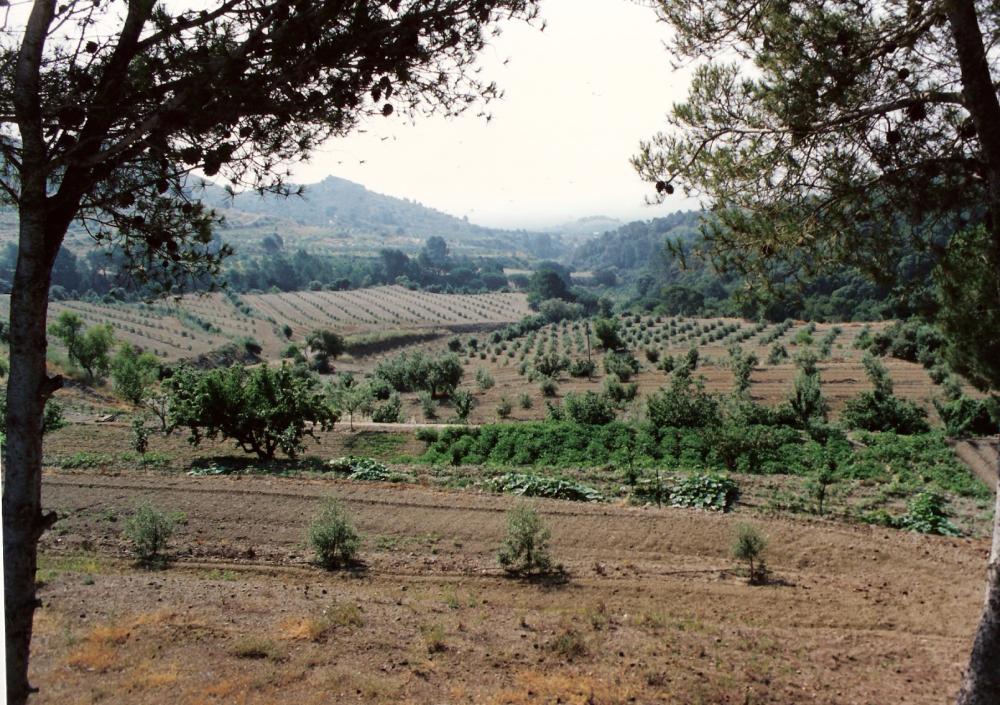  till salu villa Almoster Baix Camp 23