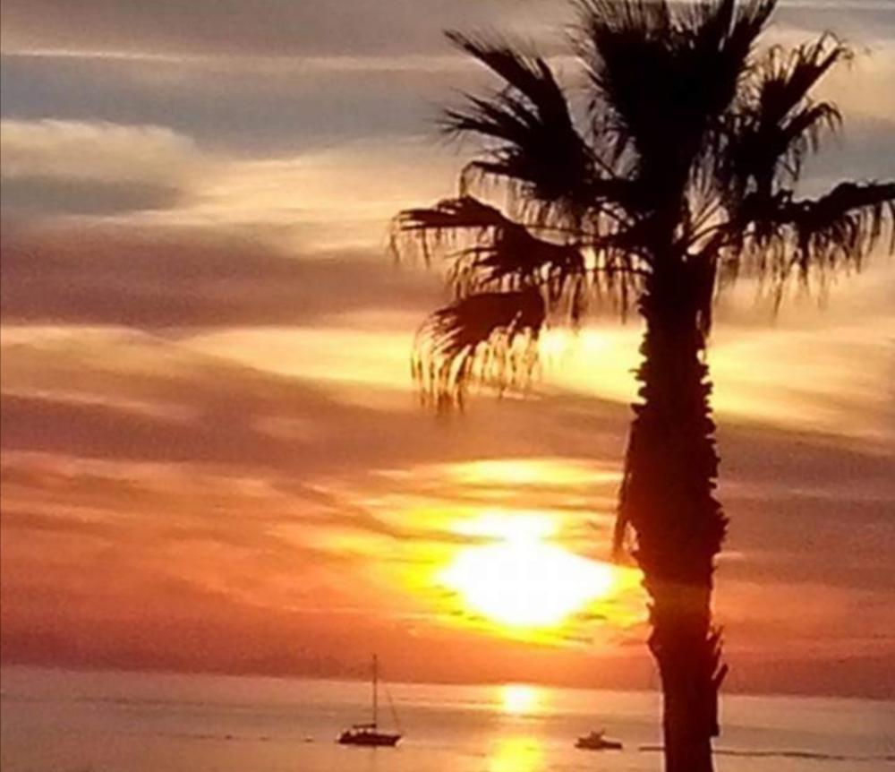  till salu bottenvåning Ciudadela De Menorca Ciudadella De Menorca 20