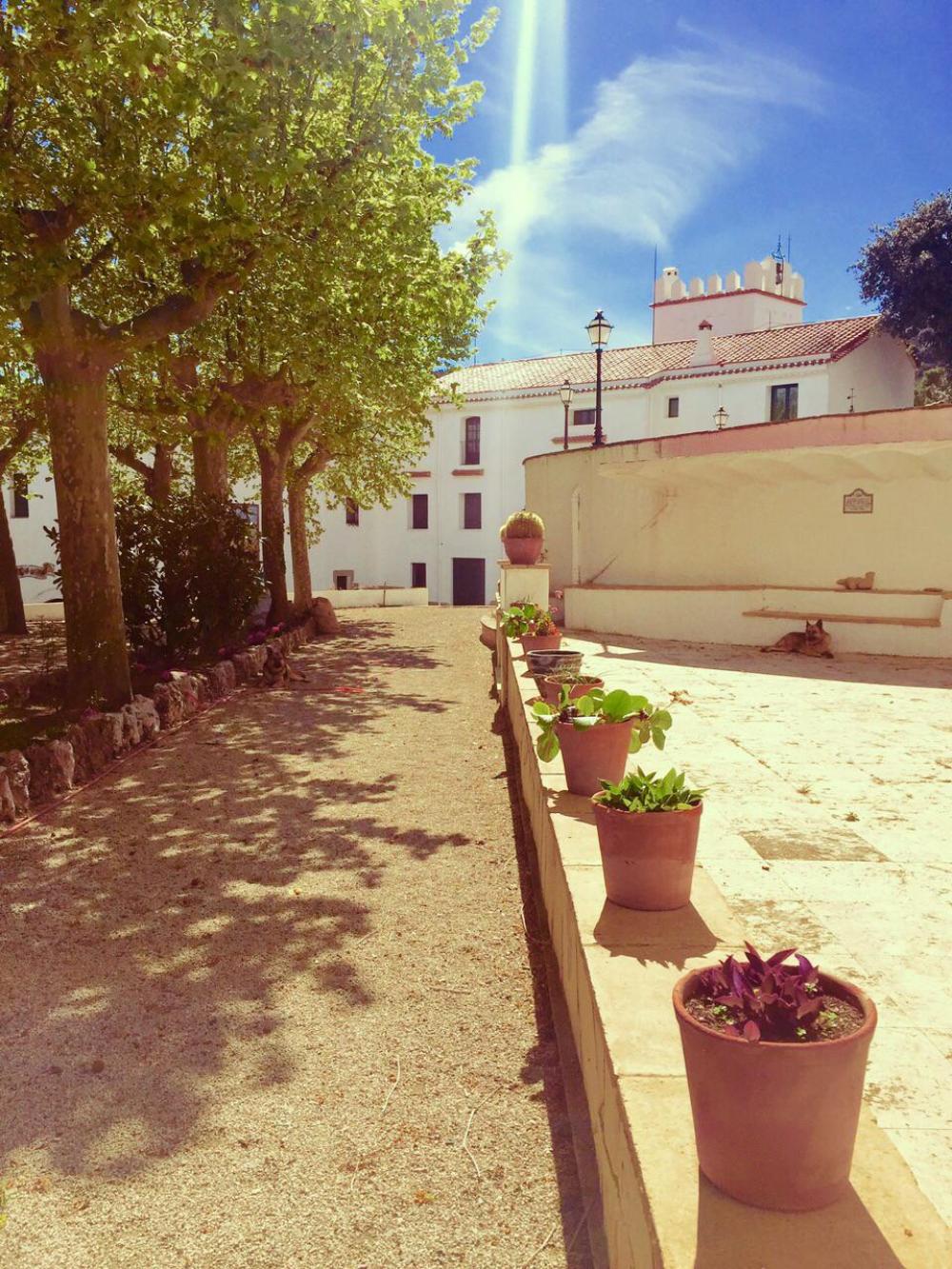  till salu villa Almoster Baix Camp 70