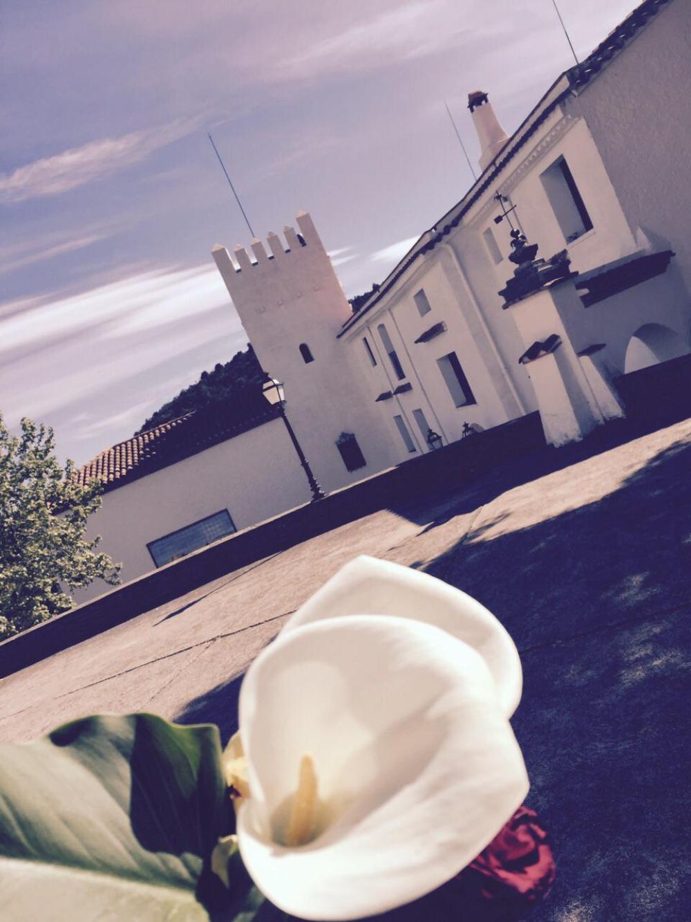  till salu villa Almoster Baix Camp 77