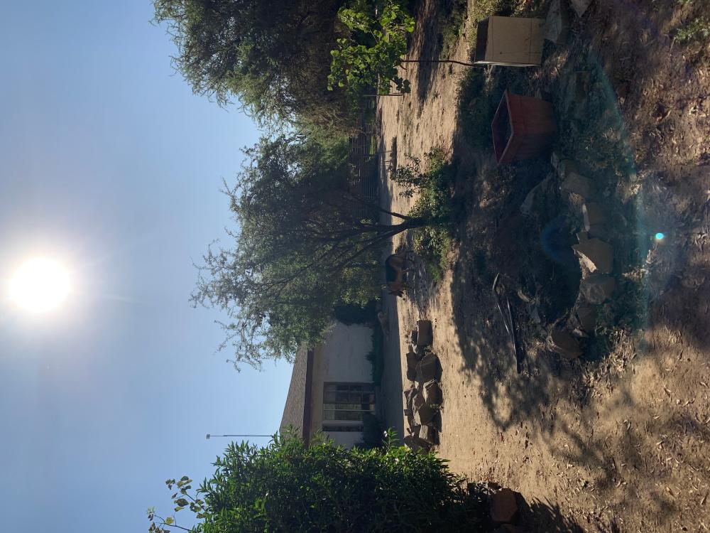  till salu hus Barrio De Panchito Ramos Tuineje 3