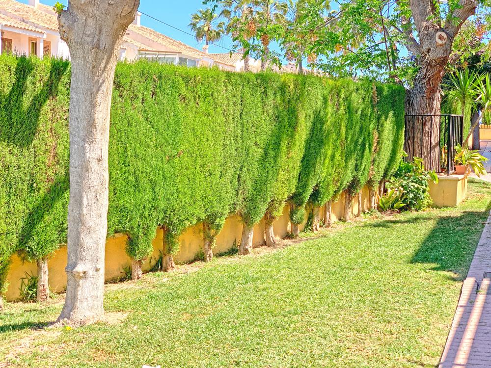  till salu parhus Gran Alacant Baix Vinalopó 35