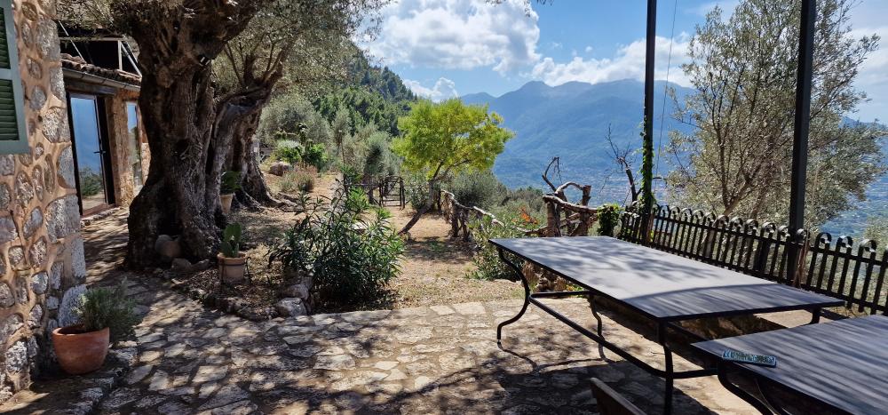  till salu hus på landet Fornalutx Tramuntana 6