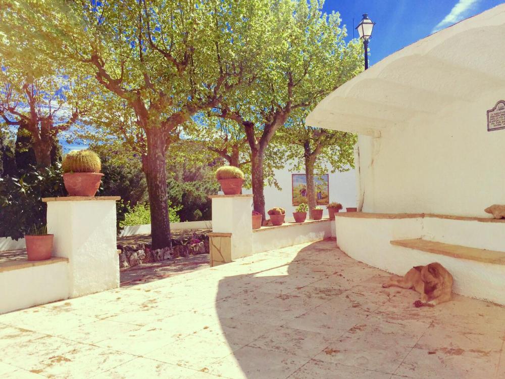  till salu villa Almoster Baix Camp 78