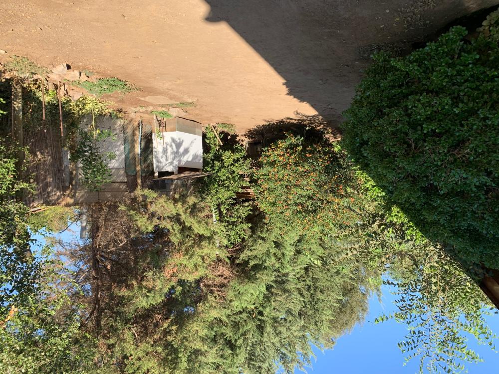  till salu hus Barrio De Panchito Ramos Tuineje 14