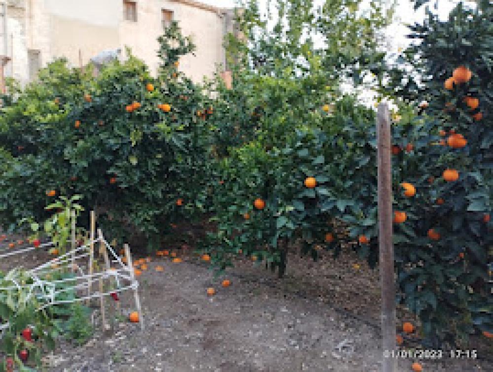  till salu hus Sant Quinti De Mediona Alt Penedès 6
