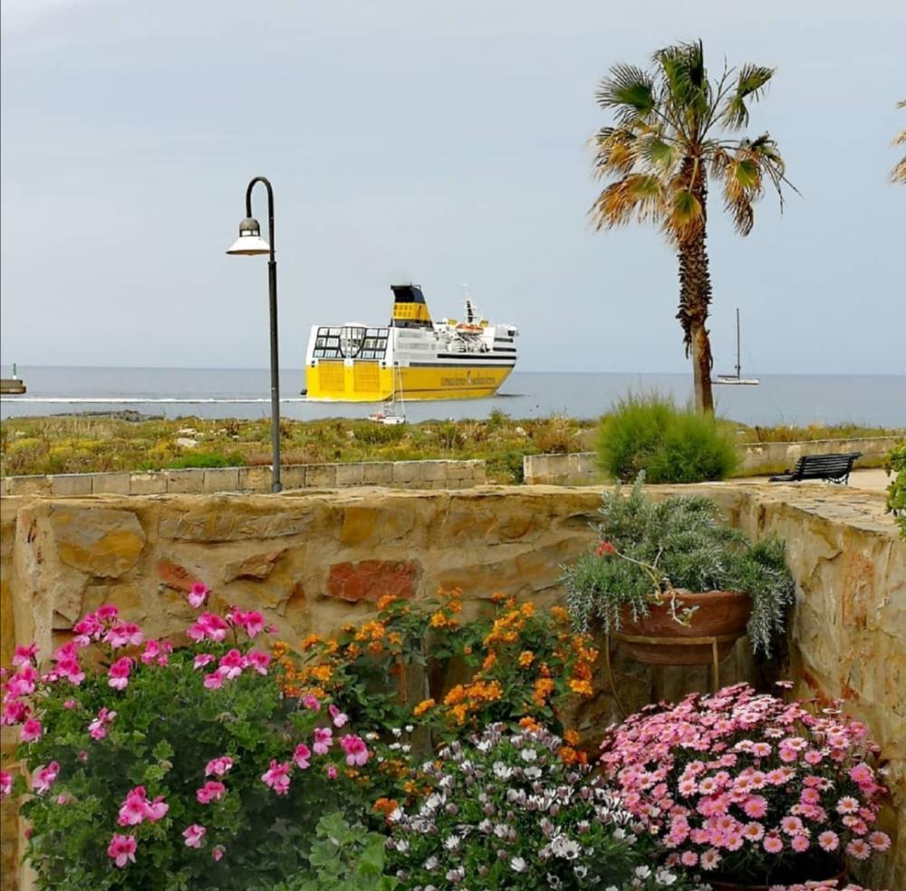  till salu bottenvåning Ciudadela De Menorca Ciudadella De Menorca 31