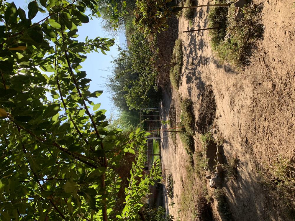  till salu hus Barrio De Panchito Ramos Tuineje 12