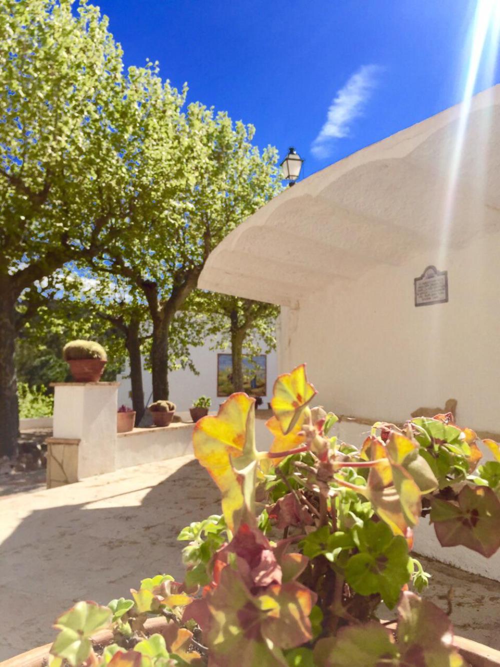  till salu villa Almoster Baix Camp 80