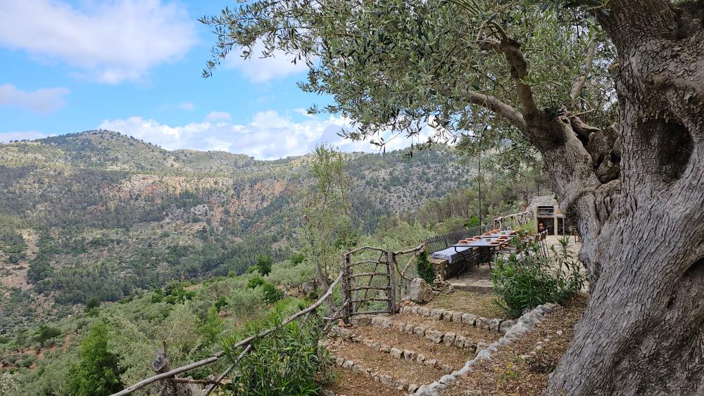  till salu hus på landet Fornalutx Tramuntana 14