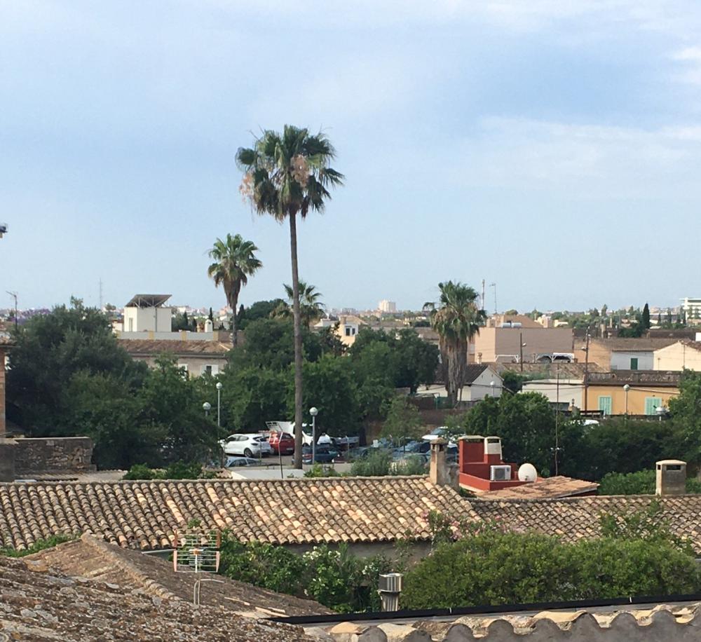  till salu lägenhet Son Sardina-Sa Garriga-Son Llompart Palma 16