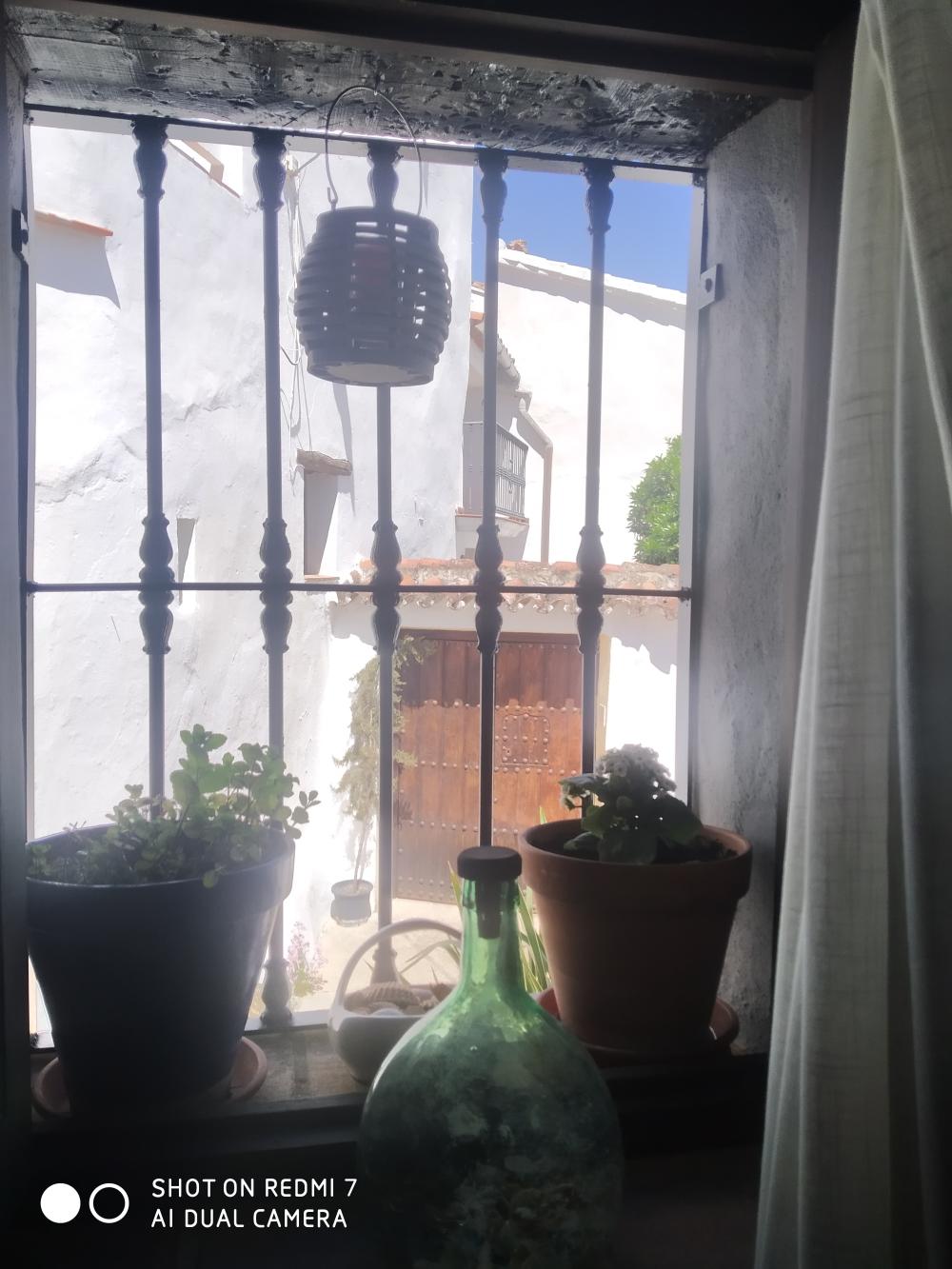  till salu hus Benadalid Serranía De Ronda 8