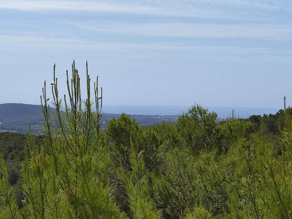 till salu tomt Sant Carles De Peralta Santa Eulària Des Riu 1