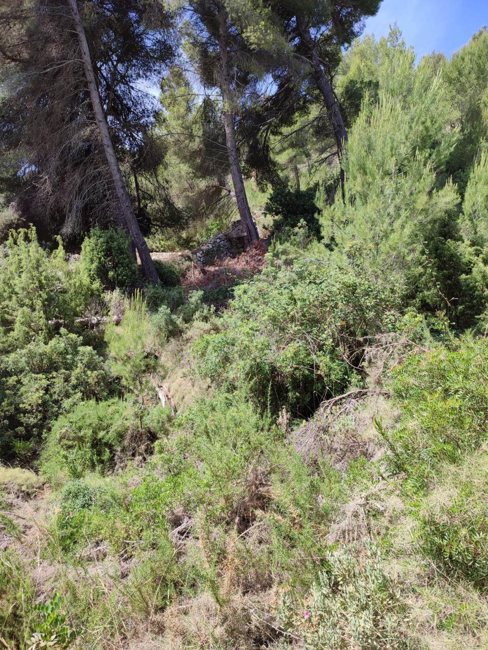  till salu tomt Sant Carles De Peralta Santa Eulària Des Riu 5