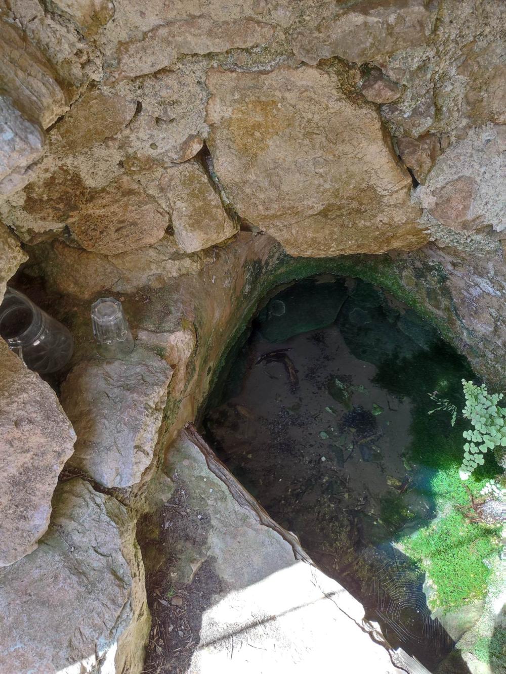  till salu tomt Sant Carles De Peralta Santa Eulària Des Riu 7